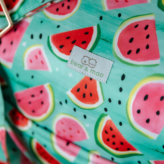 Day Bag | Watermelon Crush