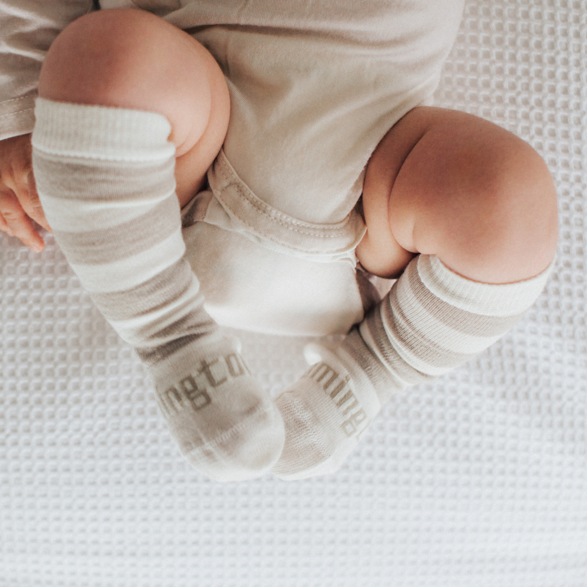 Lamington Merino Knee High Socks in Dandelioin available at Bear & Moo